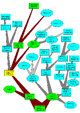 Picture. Genealogical tree of Poluboyartsevs