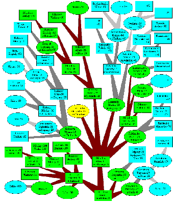 Picture. Genealogical tree of Shkrobovs